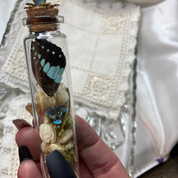 Glass curiosity jars holding beautiful ephemera - Picture 8 of 14